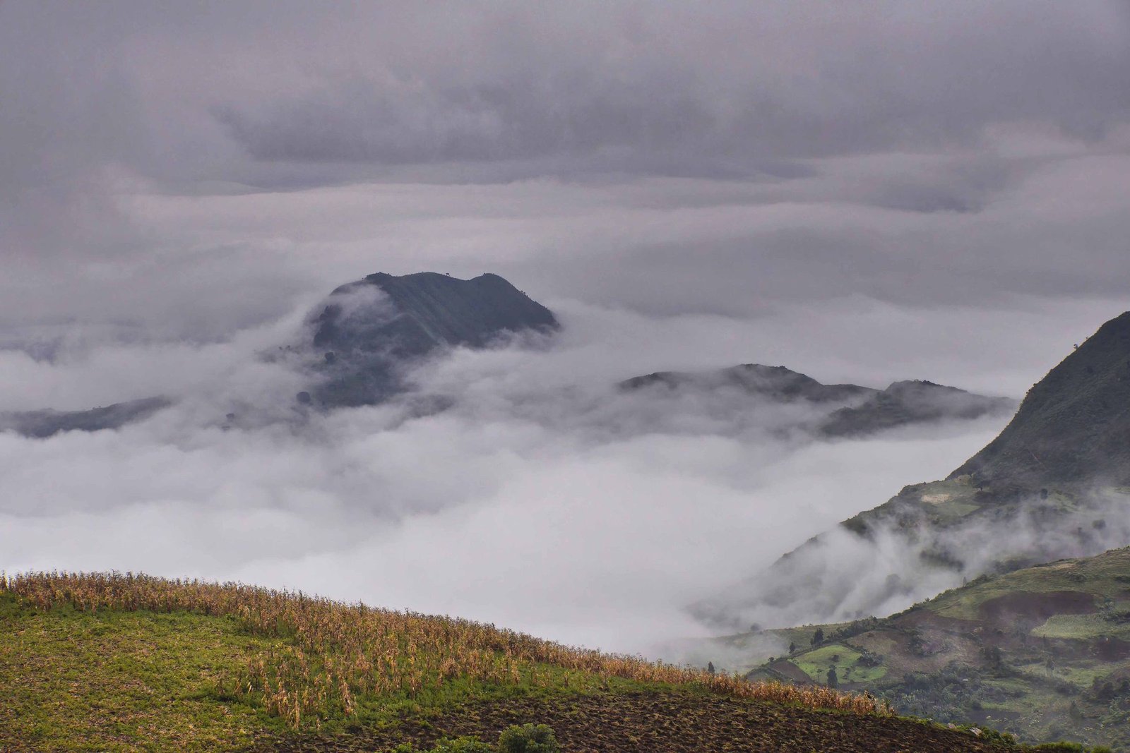 Mist over the Dizi highlands in southern Ethiopia